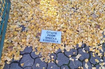 Martekova intervencija v Škofji Loki: »Čitajte Srečka Kosovela«, 2025 <em>Foto: Fotoarhiv Darka Simičića</em>