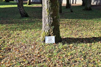 Martekova intervencija v Škofji Loki: »Čitajte Srečka Kosovela«, 2025 <em>Foto: Fotoarhiv Darka Simičića</em>