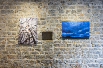 Levo: Zimska drevesa, 2017. Desno: Armagedon nad Sv. Uršulo, Sorško polje, 2025. <em>Foto: Lucija Rosc</em>