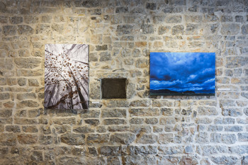 Left: Winter Trees, 2017. Right: Armageddon over Sv. Uršula, Sorško polje, 2025. <em>Photo: Lucija Rosc</em>