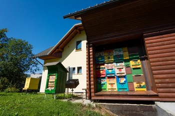 Brode Beekeepers House <em>Photo: Sašo Kočevar</em>