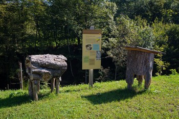Grey Bee’s Educational Trail <em>Photo: Sašo Kočevar</em>