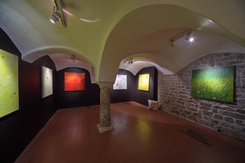 Closing of the Exhibition Lit by the Sun by Barbara Demšar <em>Photo: Janez Pelko</em>