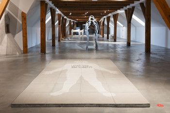 Tomaž Furlan, I Made This So You Can Walk Over Me and Know It, 2021 <em>Photo: Lucija Rosc</em>