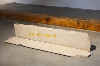 Tomaž Furlan, More Local Than Me, 2021 <em>Photo: Lucija Rosc</em>