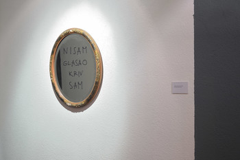 Tmislav Brajnović, I didn’t Vote, My Fault, 2017 <em>Photo: Janez Pelko</em>