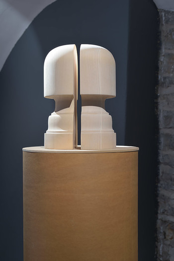 Tomislav Brajnović, Direct Link, 2017 <em>Photo: Janez Pelko</em>