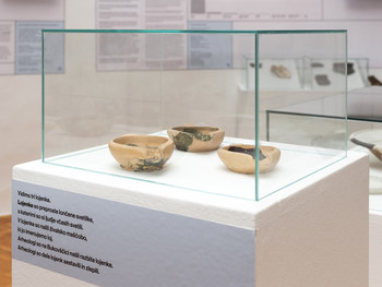 The Bukovščica Case Study <em>Photo: Lucija Rosc</em>