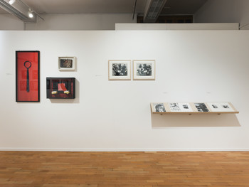 For the Democratisation of Art – Revisited <em>Photo: Lucija Rosc</em>