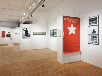 For the Democratisation of Art – Revisited <em>Photo: Lucija Rosc</em>
