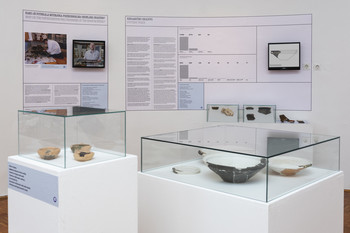 Primer Bukovščica <em>Foto: Lucija Rosc</em>