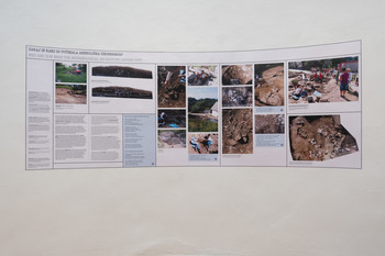 Primer Bukovščica <em>Foto: Lucija Rosc</em>