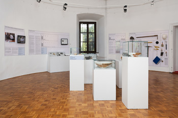 Primer Bukovščica <em>Foto: Lucija Rosc</em>