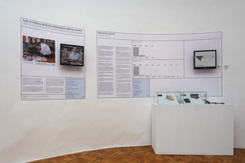 Primer Bukovščica <em>Foto: Lucija Rosc</em>