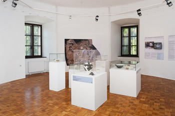 Primer Bukovščica <em>Foto: Lucija Rosc</em>