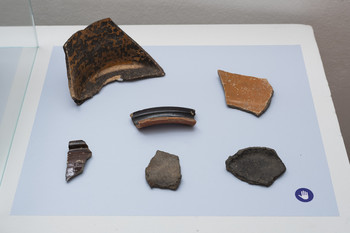 Primer Bukovščica <em>Foto: Lucija Rosc</em>