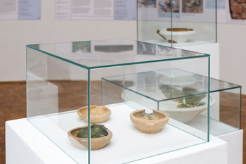 Primer Bukovščica <em>Foto: Lucija Rosc</em>