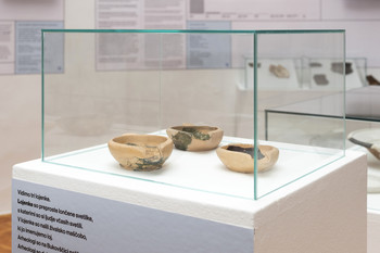 Primer Bukovščica <em>Foto: Lucija Rosc</em>