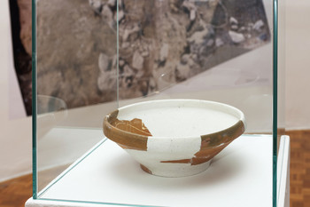 Primer Bukovščica <em>Foto: Lucija Rosc</em>