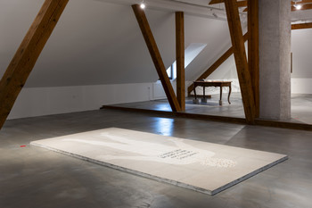 Priročnik Tomaža Furlana <em>Foto: Lucija Rosc</em>