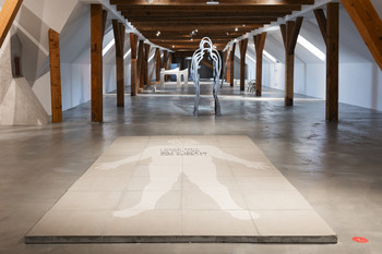 Priročnik Tomaža Furlana <em>Foto: Lucija Rosc</em>