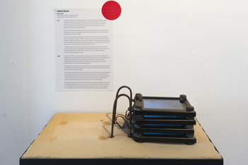 Tomaž Furlan, Book, 2010, na ogled je v okviru umetnostnozgodovinske zbirke v pritličju Loškega muzeja <em>Foto: Lucija Rosc</em>