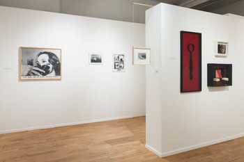 Fotografije postavitve razstave <em>Foto: Lucija Rosc</em>