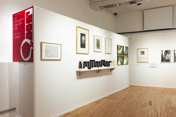 Fotografije postavitve razstave <em>Foto: Lucija Rosc</em>