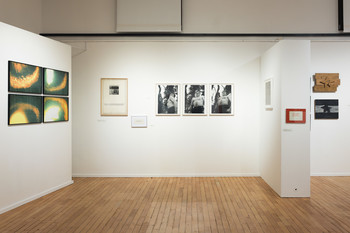 Fotografije postavitve razstave <em>Foto: Lucija Rosc</em>