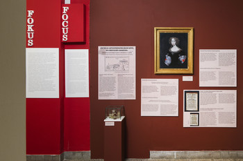 “Freywillig-auffgesprungener Granat-Apffel, Des Christlichen Samaritans” <em>Photo: Jaka Babnik</em>