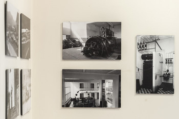 Gradimo boljši svet: Fotografije Toneta Mlakarja <em>Foto: Nejc Trampuž</em>