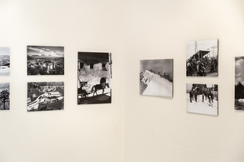 Gradimo boljši svet: Fotografije Toneta Mlakarja <em>Foto: Nejc Trampuž</em>