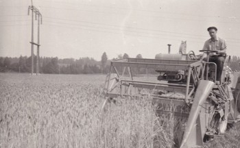 Kombajn na Sorškem polju, 50. leta 20. stoletja. <em>Foto: Zasebna last</em>