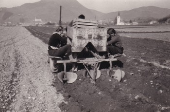 Sorško polje, konec 50. let 20. stoletja. <em>Foto: Zasebna last</em>