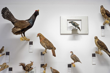 From the 40+ ... Through Time and Beyond ... Exhibition <em>Photo: Janez Pelko</em>