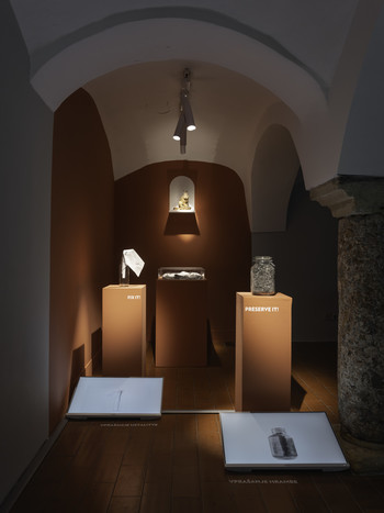 Lela B. Njatin: 73 Km from Kočevje <em>Foto: Lucija Rosc</em>