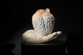 Humanizem, 2023 <em>Foto: Lucija Rosc</em>