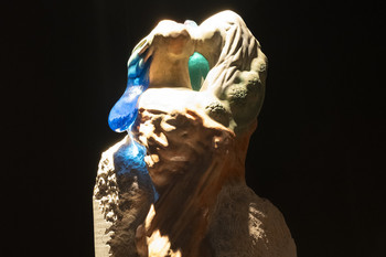 Nemirna notranjost, 2025 <em>Foto: Lucija Rosc</em>