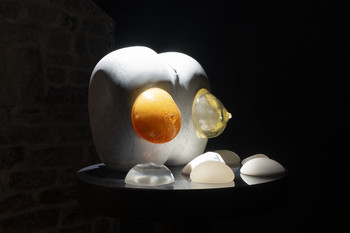 Scalpel, 2023 <em>Photo: Lucija Rosc</em>