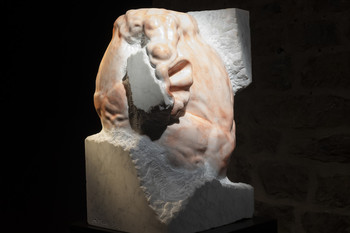 Cyborg 4000, 2023 <em>Photo: Lucija Rosc</em>