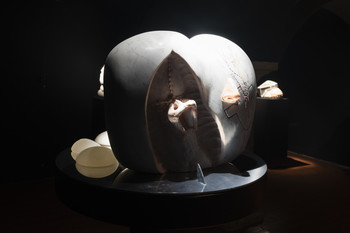 Scalpel, 2023 <em>Photo: Lucija Rosc</em>