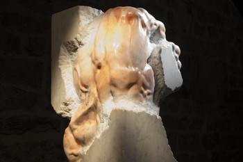 Cyborg 4000, 2023 <em>Photo: Lucija Rosc</em>
