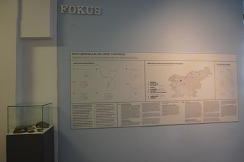 Motiv samostrela na dnu loncev z Bukovščice