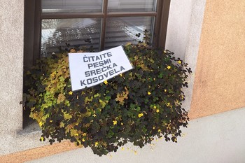 Za demokratizacijo umetnosti – ponovno <em>Foto: Fotoarhiv Darka Simičića</em>