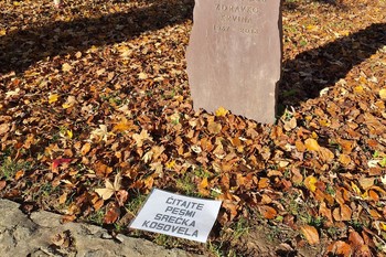 Za demokratizacijo umetnosti – ponovno <em>Foto: Fotoarhiv Darka Simičića</em>