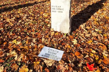 Za demokratizacijo umetnosti – ponovno <em>Foto: Fotoarhiv Darka Simičića</em>