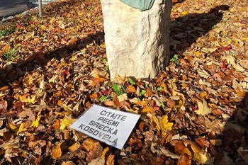 Za demokratizacijo umetnosti – ponovno <em>Foto: Fotoarhiv Darka Simičića</em>