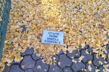 Za demokratizacijo umetnosti – ponovno <em>Foto: Fotoarhiv Darka Simičića</em>