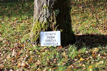 Za demokratizacijo umetnosti – ponovno <em>Foto: Fotoarhiv Darka Simičića</em>