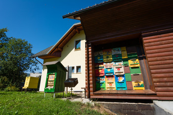 Brode Beekeepers House <em>Photo: Sašo Kočevar</em>